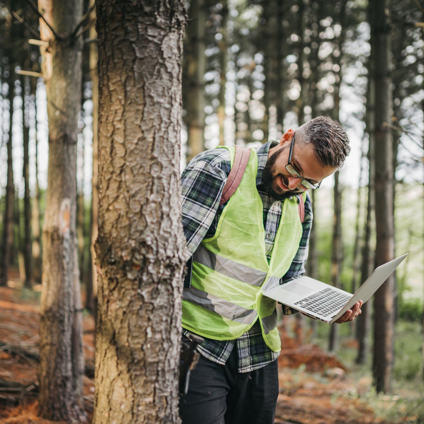 Un homme examinant un arbre