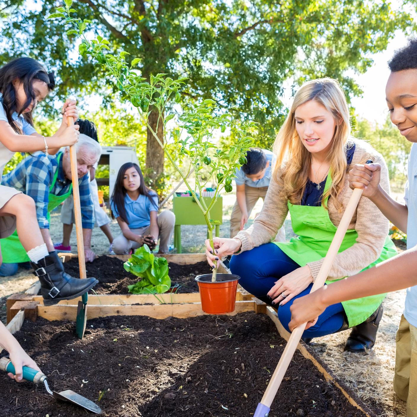 elementary school students are digging in soil