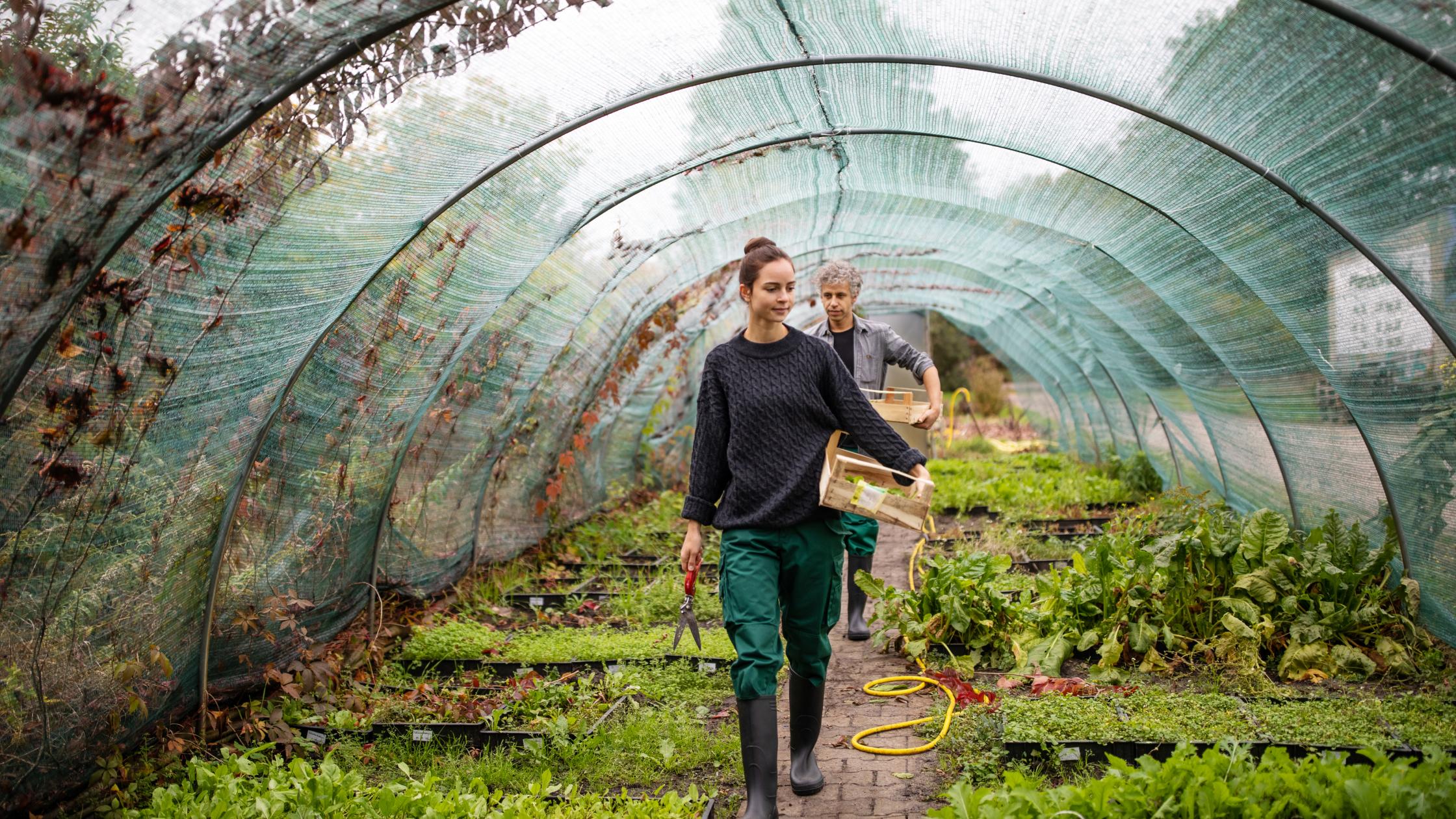 Female and male gardeners with wooden boxes walking in greenhouse. Two workers working in garden center.