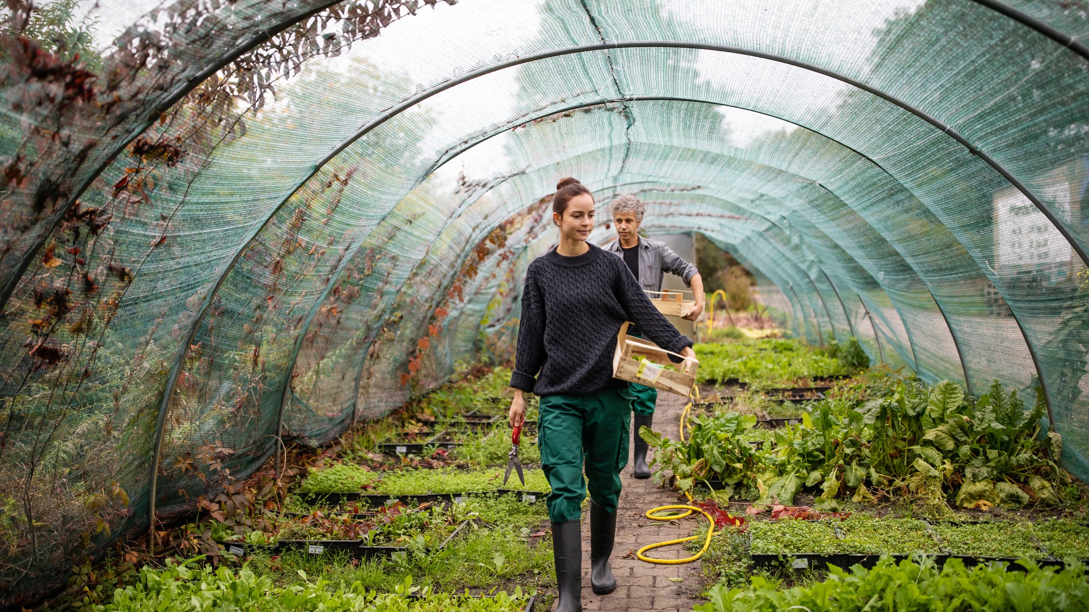 Female and male gardeners with wooden boxes walking in greenhouse. Two workers working in garden center.